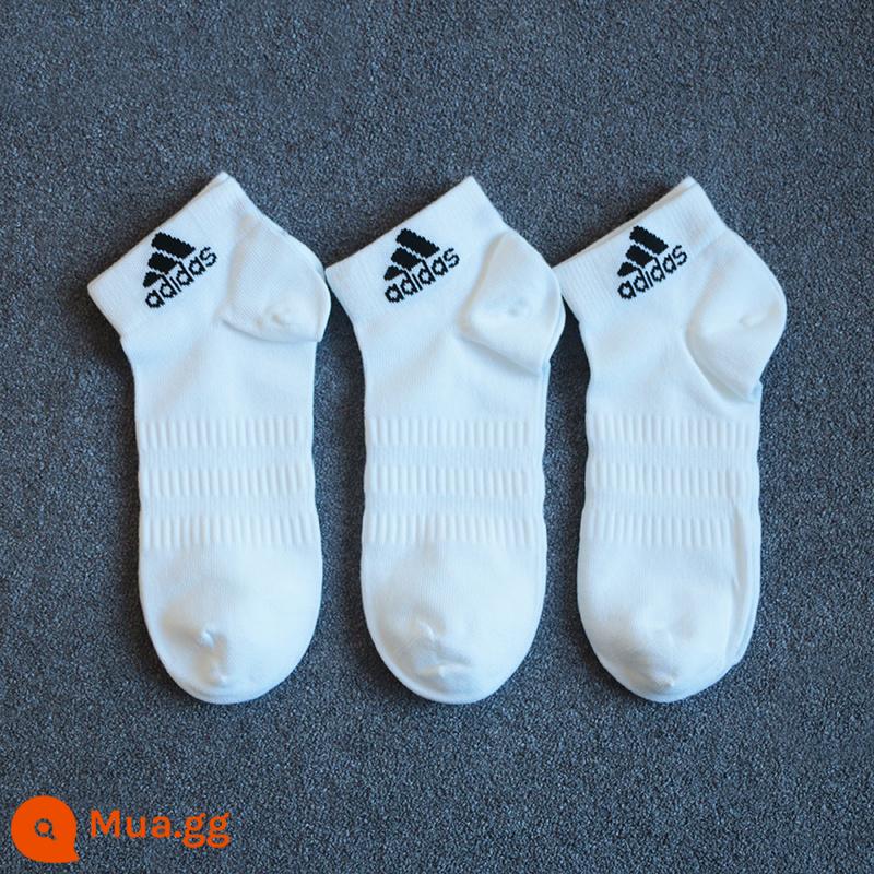 Tất nam Adidas tất nữ mùa đông tất trắng dày giữa ống tất thể thao thoáng khí tất bóng rổ DZ9434 - DZ9365/ba cặp đáy khăn