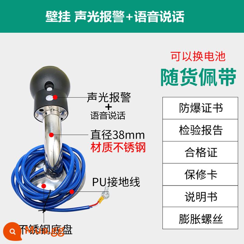 Bộ giải phóng tĩnh điện cơ thể con người an toàn nội tại giúp loại bỏ bóng chống cháy nổ công cụ cột giải phóng tĩnh điện thiết bị hướng dẫn cảm ứng - Báo động bằng giọng nói treo tường + chống cháy nổ