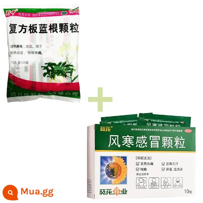 Hạt Isatis Hợp Chất Shuzhong 15g*20 túi trị gió nhiệt, lạnh, viêm họng, thanh nhiệt, giải độc, mát máu, Yike - 15g*20 túi x 1 túi + 1 hộp Hạt Hướng Dương Lạnh Lạnh