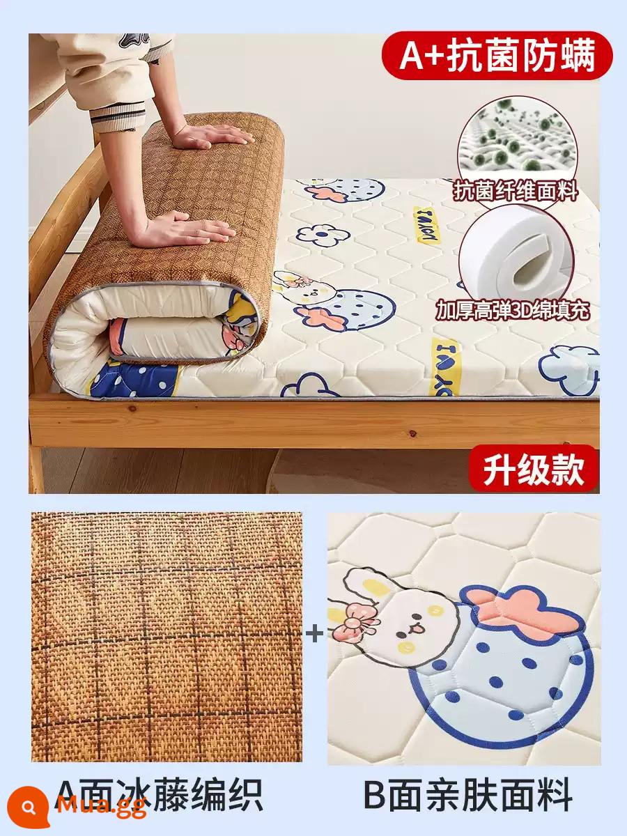 Nệm cao su đệm ký túc xá sinh viên giường đơn nệm chiếu tatami xốp cho thuê thảm đặc biệt đệm ngủ - Nệm Zhizhiberryberry=3.5cm-(A+kháng khuẩn và chống mạt) có thể dùng được cả hai mặt