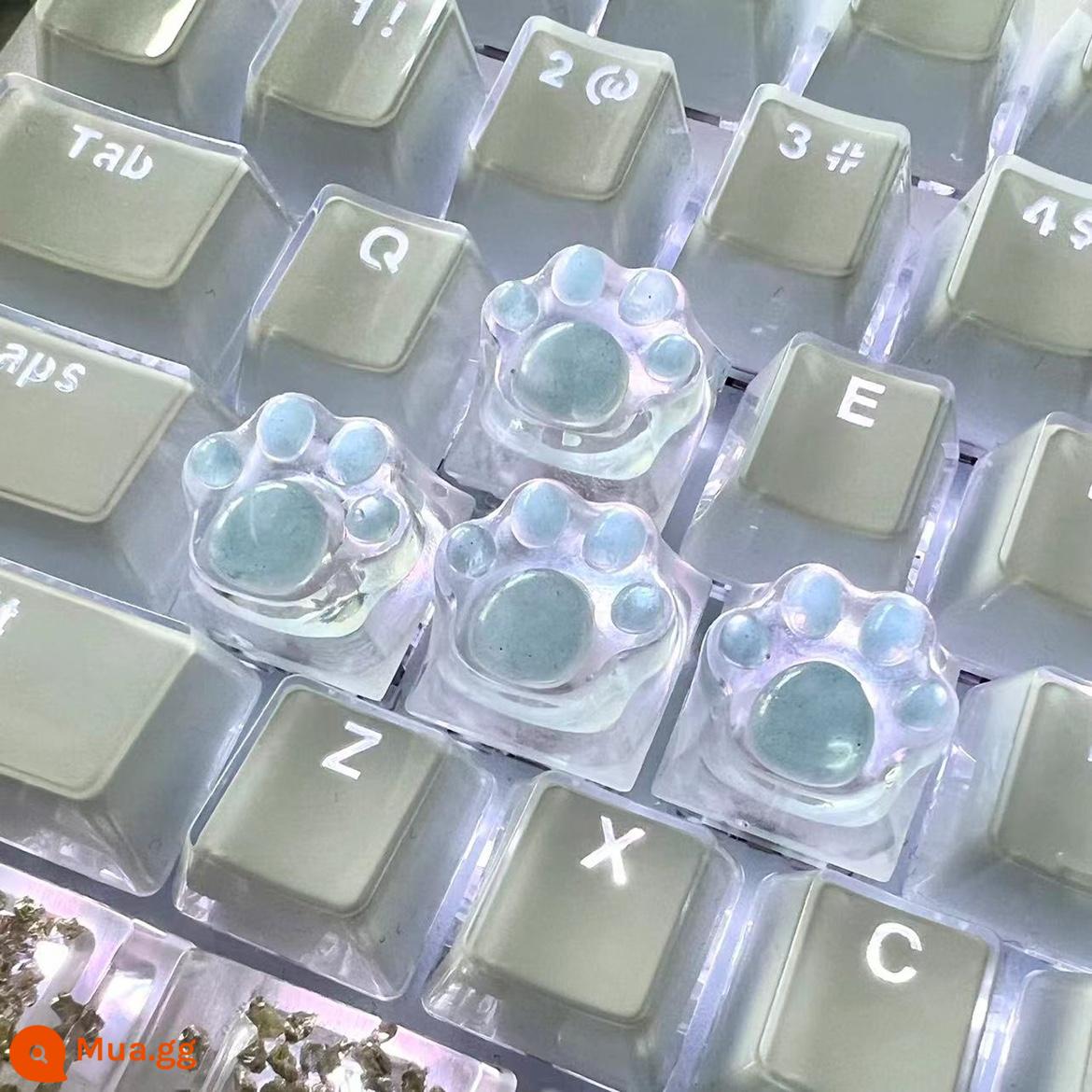 2024 Màu Mới Mờ Mèo Móng Vuốt Keycaps Trong Suốt Dễ Thương Nữ Tính Hồng Trục Trục Nhựa Bàn Phím Cơ Keycaps - Màu xanh trong suốt 1 mảnh