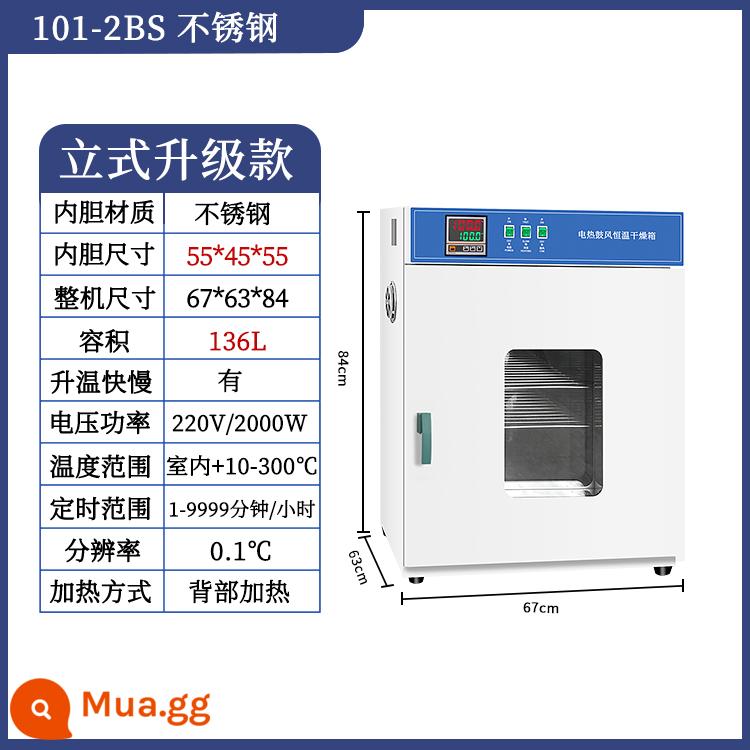 Lò sấy điện nhiệt độ không đổi lò sấy nhiệt độ cao lò công nghiệp nhỏ máy sấy y tế lò phòng thí nghiệm - Bể bên trong bằng thép không gỉ 101-2BS được nâng cấp có thể vượt qua kiểm tra