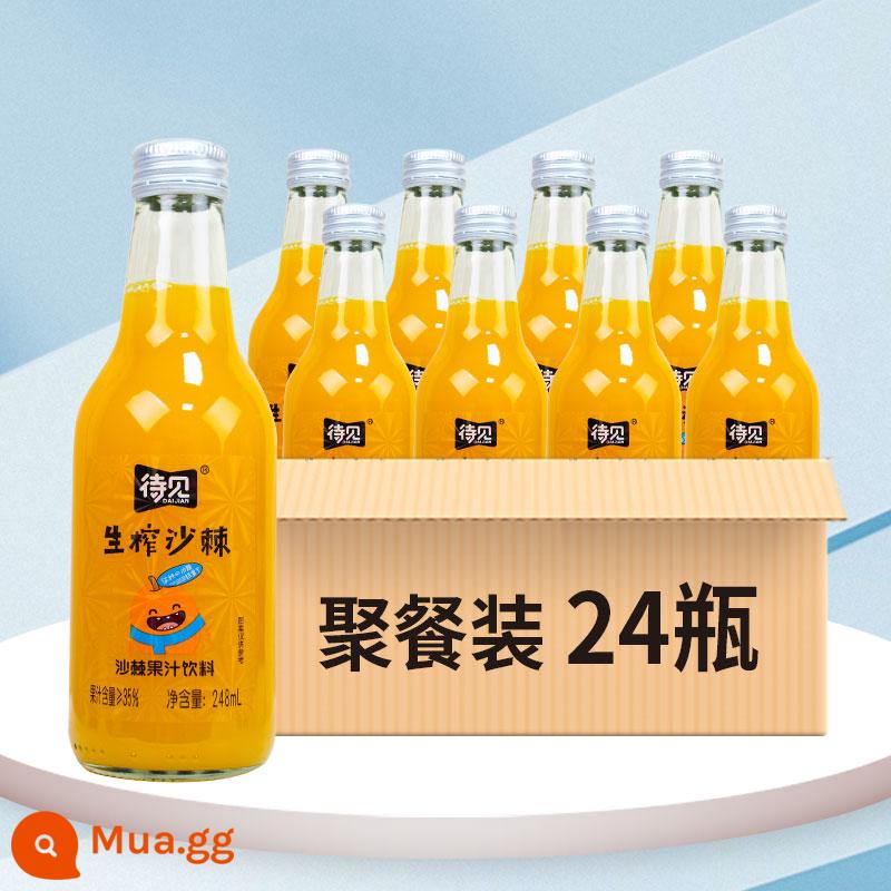 Chờ xem uống nước ép hắc mai biển 24 chai đầy đủ uống vitamin C đỏ ròng Shanxi Luliang nước ép nguyên chất ép hắc mai biển - [Tụ tập bạn bè và gia đình] Gói Bữa tối 248mlx24 Chai (Gửi 3 Gói)