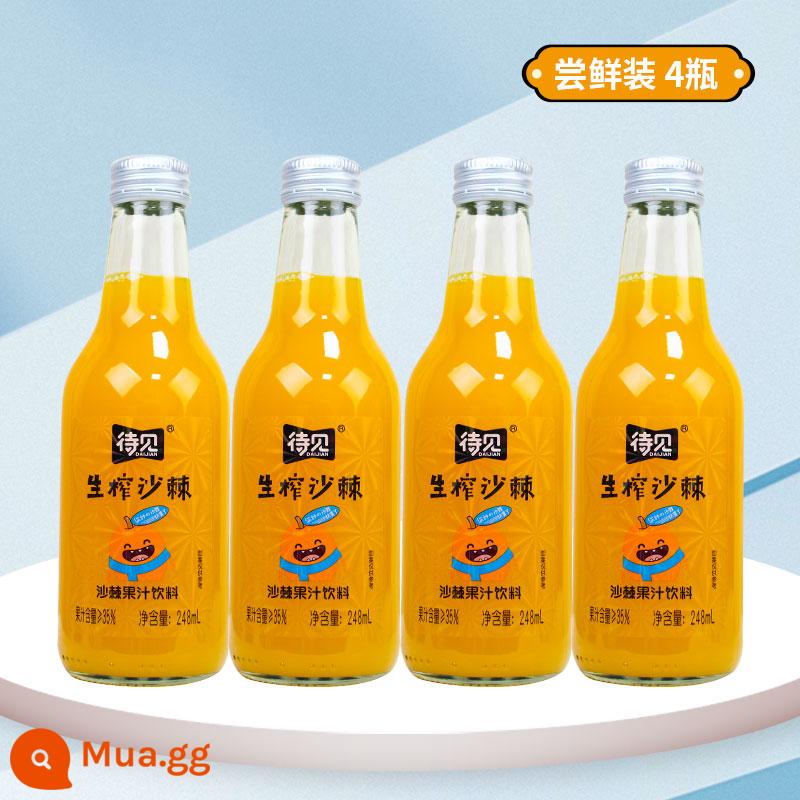 Chờ xem uống nước ép hắc mai biển 24 chai đầy đủ uống vitamin C đỏ ròng Shanxi Luliang nước ép nguyên chất ép hắc mai biển - Chai 248mlx4, gói nếm [chai thủy tinh]