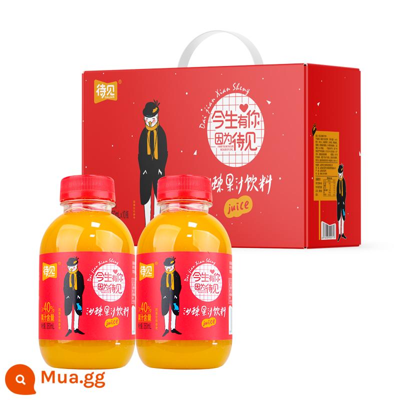 Chờ xem uống nước ép hắc mai biển 24 chai đầy đủ uống vitamin C đỏ ròng Shanxi Luliang nước ép nguyên chất ép hắc mai biển - [Thăm người thân, bạn bè] Hộp quà 350mlx10 chai