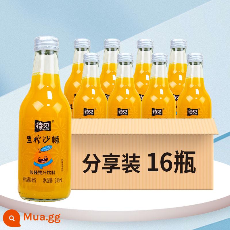 Chờ xem uống nước ép hắc mai biển 24 chai đầy đủ uống vitamin C đỏ ròng Shanxi Luliang nước ép nguyên chất ép hắc mai biển - [Bạn bè uống thoải mái] Share size 248mlx16 chai (gửi 2 gói)