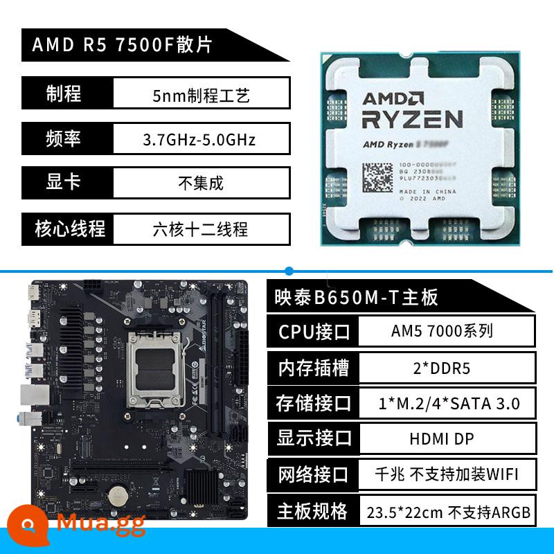 Biostar B650MP-E PRO bo mạch chủ A620 AM5 AMD Ryzen R5 7500F 7800X3D bo mạch U - Biostar B650M-T+R5 7500F lỏng lẻo