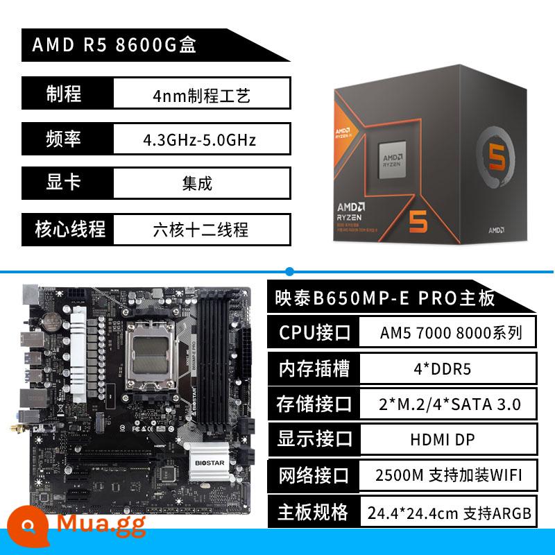 Biostar B650MP-E PRO bo mạch chủ A620 AM5 AMD Ryzen R5 7500F 7800X3D bo mạch U - Hộp Biostar B650MP-E PRO+R5 8600G