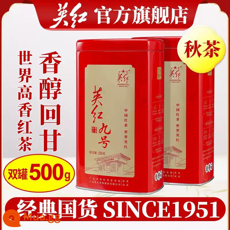 [Mua một tặng một] Trà đen Yingde số 9 Yinghong, tổng cộng 500g, trà đóng hộp số lượng lớn, trà đen vị đậm - Hương trái cây, hương hoa và vị ngọt, tổng cộng 500g