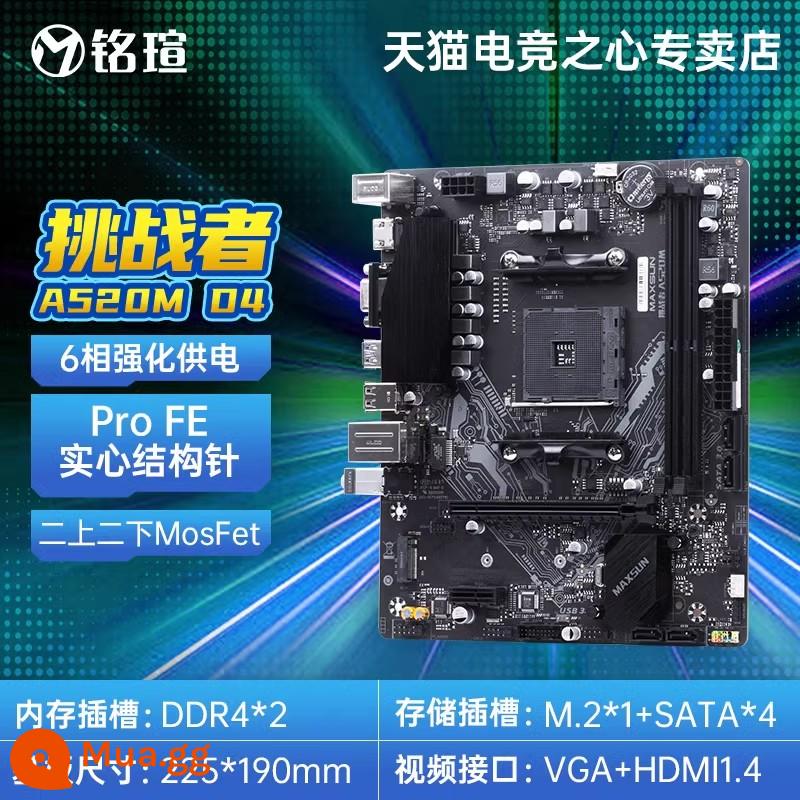 Bo mạch chủ dòng MAXSUN AMD B550M B450M Terminator AM4/Challenger B650 AM5 - Challenger A520M D4