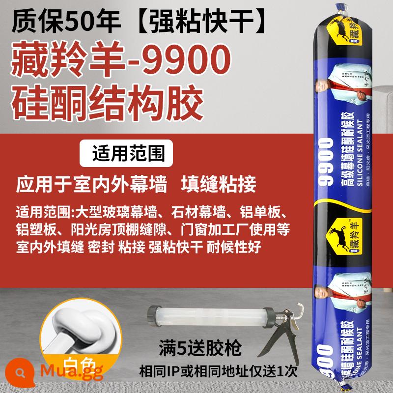 995 Keo kết cấu silicon trung tính Cửa tường bên ngoài mạnh mẽ và Cửa sổ Keo dán kính đặc biệt Nhà bếp và phòng tắm chống nước ngoài trời Nhà bếp chống nấm mốc - [Được bảo hành 50 năm] Tường đá ngoài trời-ZLY9900 [Trắng] (Miễn phí dụng cụ cho đơn hàng trên 5)