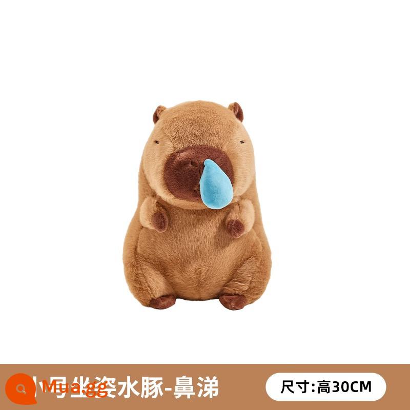 Capybara Snot Capybara Sang Trọng Đồ Chơi Trẻ Em Bé Gái Búp Bê Gấu Búp Bê Búp Bê Quà Tặng Sinh Nhật Mặt Dây Chuyền - [Sản phẩm mới] Búp bê hút nước mũi Capybara 30cm