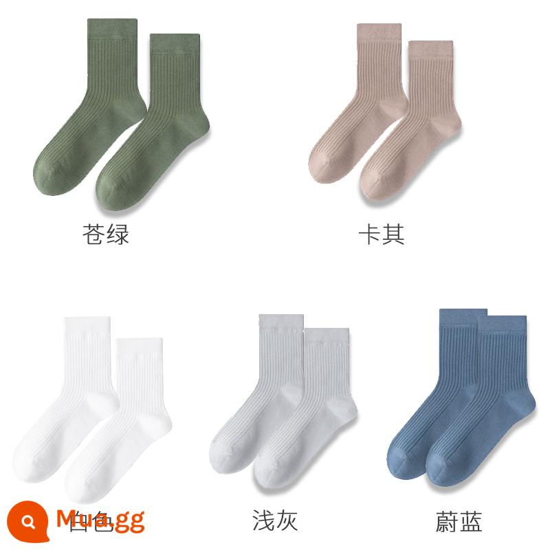 Tất cotton Kelanya mùa xuân thu cotton nguyên chất dành cho nam đến giữa bắp chân nam chống mùi hôi và thấm hút mồ hôi mùa đông cộng với đôi tất dài nhung dành cho nam - Xanh nhạt + kaki + trắng + xám nhạt + xanh