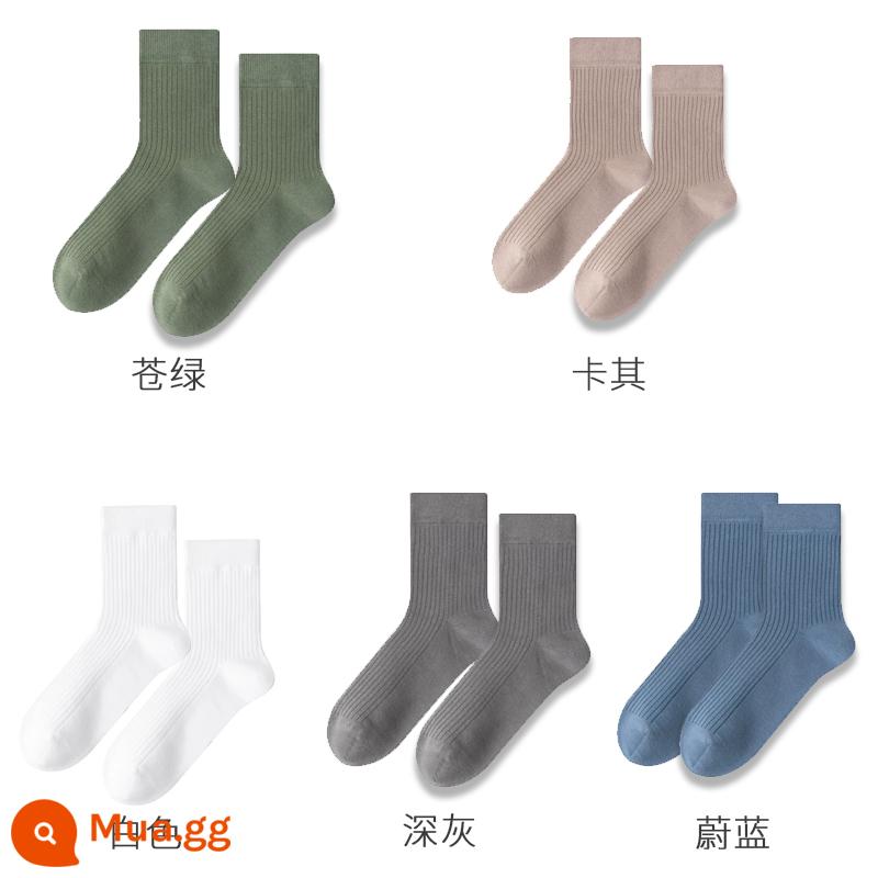 Tất cotton Kelanya mùa xuân thu cotton nguyên chất dành cho nam đến giữa bắp chân nam chống mùi hôi và thấm hút mồ hôi mùa đông cộng với đôi tất dài nhung dành cho nam - Xanh nhạt + kaki + trắng + xám đậm + xanh