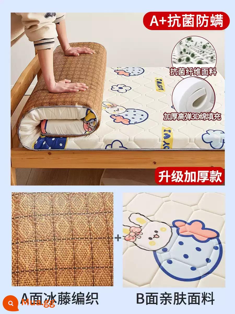 Nệm cao su đệm ký túc xá sinh viên giường đơn nệm chiếu tatami xốp cho thuê thảm đặc biệt đệm ngủ - Có thể sử dụng nệm trải sàn Zhizhiberryberry=4,5cm-(A+kháng khuẩn và chống mạt 3D) ở cả hai mặt