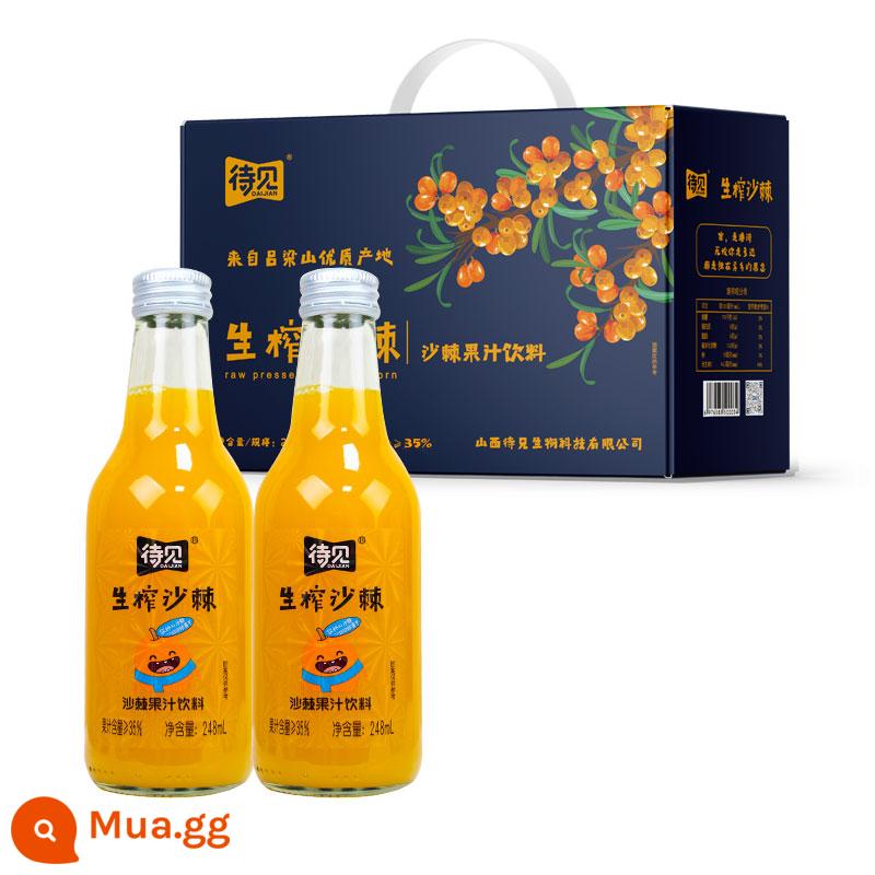 Chờ xem uống nước ép hắc mai biển 24 chai đầy đủ uống vitamin C đỏ ròng Shanxi Luliang nước ép nguyên chất ép hắc mai biển - [Chai thủy tinh] Chai 248mlx8 hộp quà tặng