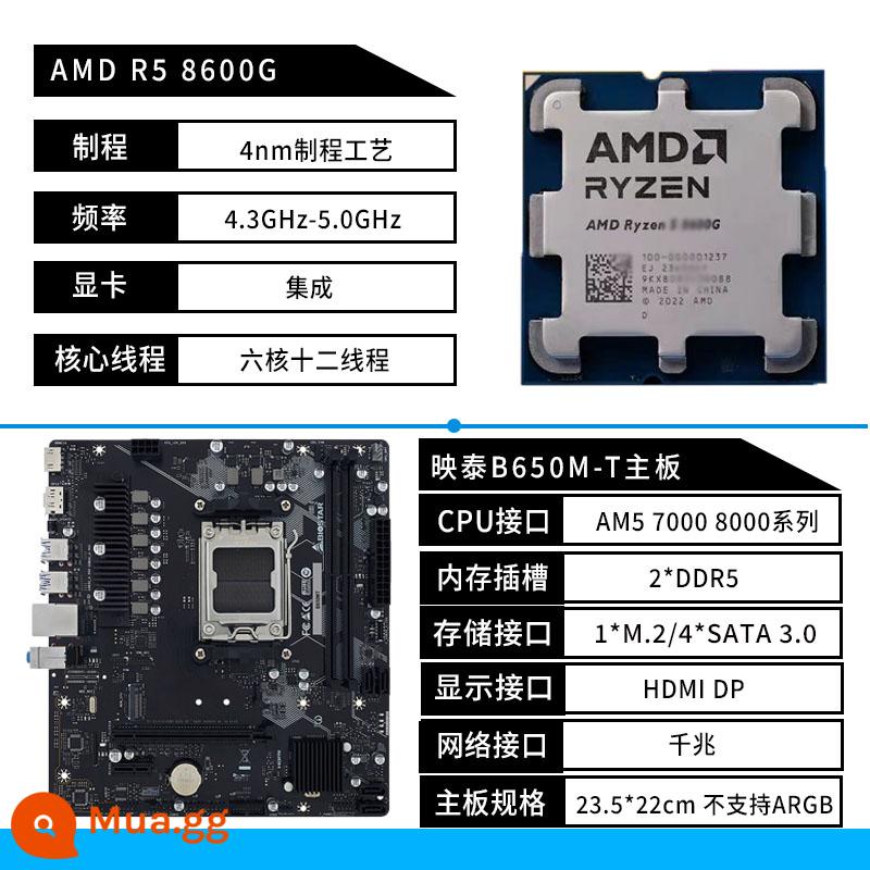 Biostar B650MP-E PRO bo mạch chủ A620 AM5 AMD Ryzen R5 7500F 7800X3D bo mạch U - Biostar B650M-T+R5 8600G số lượng lớn