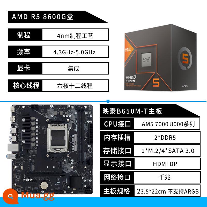 Biostar B650MP-E PRO bo mạch chủ A620 AM5 AMD Ryzen R5 7500F 7800X3D bo mạch U - Hộp Biostar B650M-T+R5 8600G