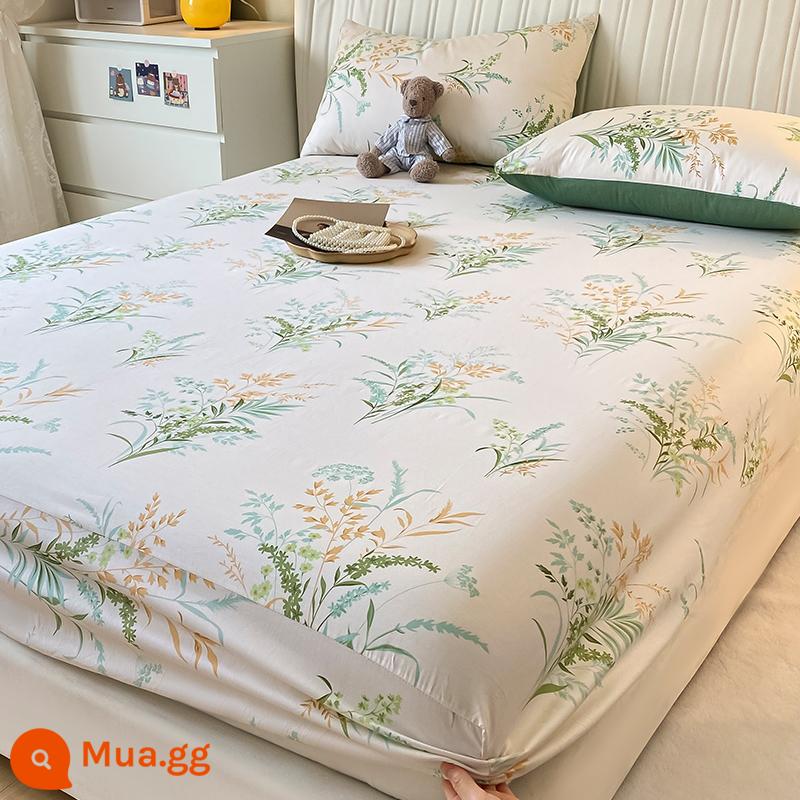 Phong cách mùa hè cotton nguyên chất bông được trang bị ga trải giường một mảnh ga trải giường bộ ba món nệm túi đựng đồ giường chống bụi ga trải giường 2022 mới - Thu Thạch