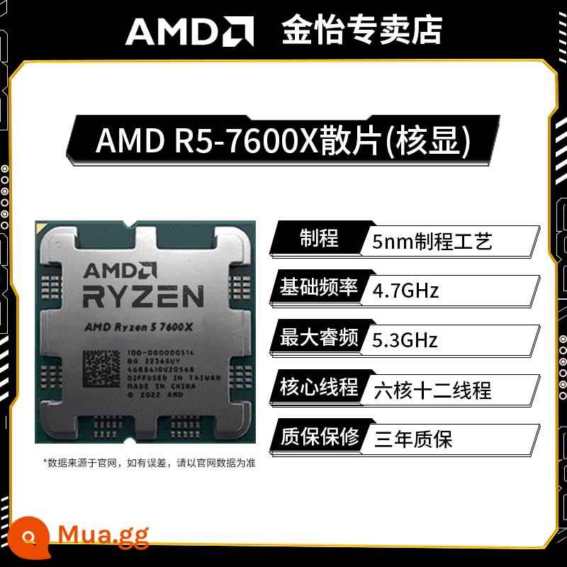 AMD7500F/7800X3D/7900X/7950X3D/8600G/8700G đóng hộp CPU đơn7000 - R5 7600X chip rời