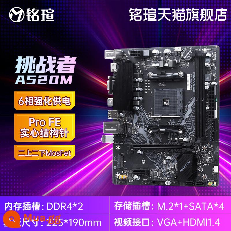 bo mạch chủ maxsun AMD Terminator AM4 B550M B450M/Challenger AM5 B650Mddr5 - Challenger A520M D4 (giảm giá dịch vụ khách hàng)