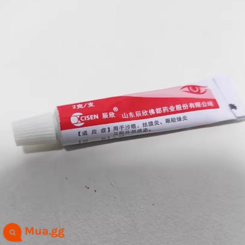 Thuốc mỡ mắt Erythromycin chính hãng Chenxin thuốc mỡ chính thức cửa hàng hàng đầu bệnh đau mắt hột viêm kết mạc mắt ngoài nhiễm trùng thuốc mỡ jy - 2g x 1 hộp Tùy chọn này được cung cấp với ngày hết hạn trong kho, hư hỏng do áp suất đóng gói, v.v.