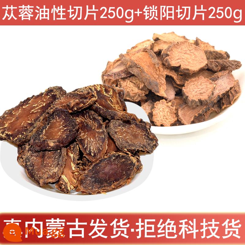 Nội Mông Alxa Cistanche Deserticola 500g toàn bộ thuốc thảo dược Trung Quốc nguyên chất không chứa Cynomorium Epimedium Maca ngâm rượu - Cistanche Deserticola Số 2 lát 250g + Cynomorium cynomorium lát 250g