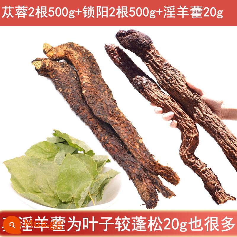 Nội Mông Alxa Cistanche Deserticola 500g toàn bộ thuốc thảo dược Trung Quốc nguyên chất không chứa Cynomorium Epimedium Maca ngâm rượu - Cistanche Deserticola 2 que 500g + Cynomorium 2 que 500g + Epimedium 20g