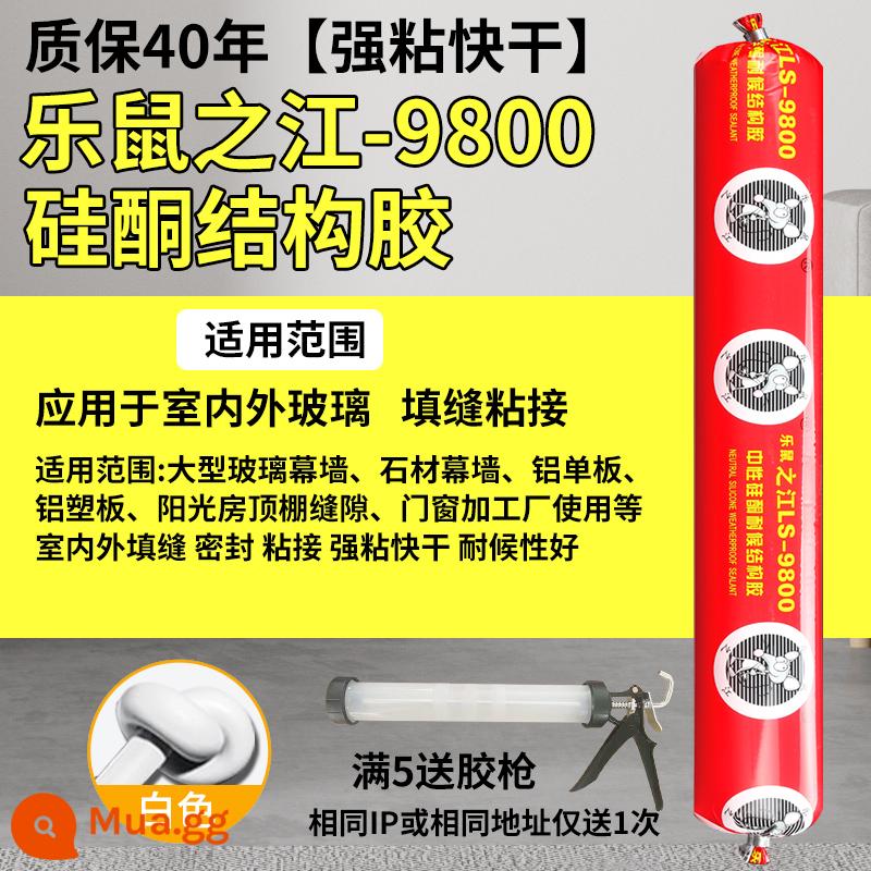 995 Keo kết cấu silicon trung tính Cửa tường bên ngoài mạnh mẽ và Cửa sổ Keo dán kính đặc biệt Nhà bếp và phòng tắm chống nước ngoài trời Nhà bếp chống nấm mốc - [Được bảo hành 40 năm] Keo dán kính chịu thời tiết bên ngoài-ZJ9800 [Trắng] (Miễn phí dụng cụ cho đơn hàng trên 5 chiếc)