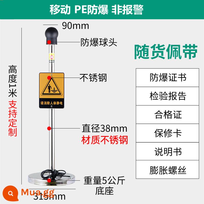 Bộ giải phóng tĩnh điện cơ thể con người an toàn nội tại giúp loại bỏ bóng chống cháy nổ công cụ cột giải phóng tĩnh điện thiết bị hướng dẫn cảm ứng - Di động + PE chống cháy nổ không báo động