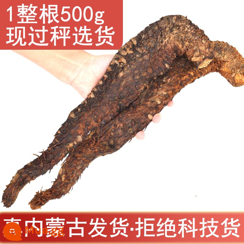 Nội Mông Alxa Cistanche Deserticola 500g toàn bộ thuốc thảo dược Trung Quốc nguyên chất không chứa Cynomorium Epimedium Maca ngâm rượu - 1 Cistanche Deserticola 500g (khoảng 8 tuổi) (Nội Mông)