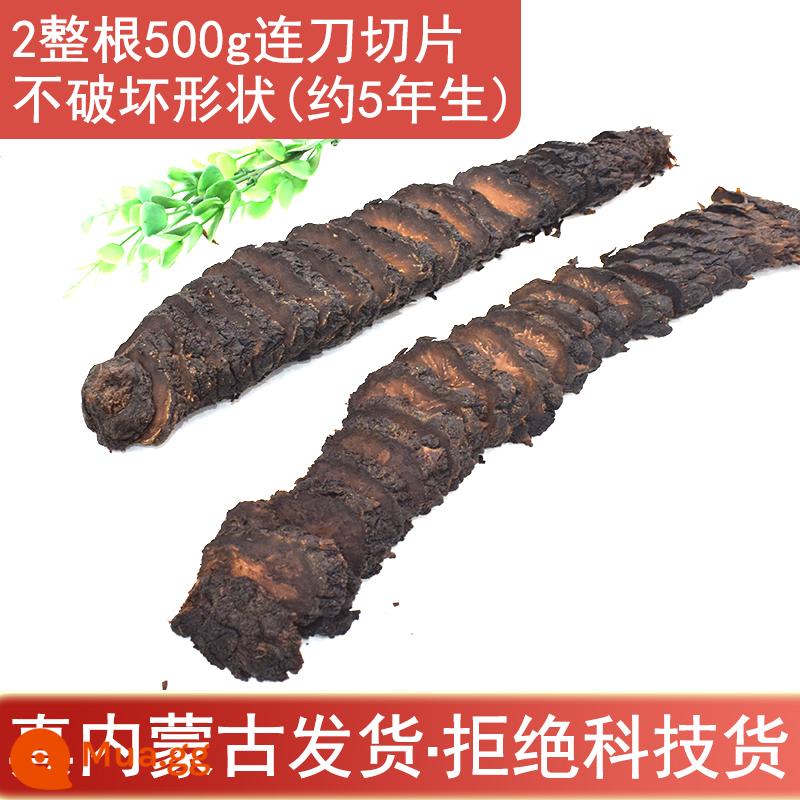 Nội Mông Alxa Cistanche Deserticola 500g toàn bộ thuốc thảo dược Trung Quốc nguyên chất không chứa Cynomorium Epimedium Maca ngâm rượu - 2 500g Cistanches Deserticola (nguyên quả và thái lát)