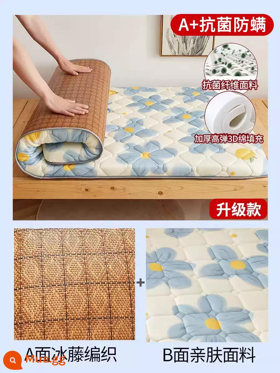 Nệm cao su đệm ký túc xá sinh viên giường đơn nệm chiếu tatami xốp cho thuê thảm đặc biệt đệm ngủ - Nệm Sunflower=3.5cm-(A+kháng khuẩn và chống mạt) có thể sử dụng được cả 2 mặt