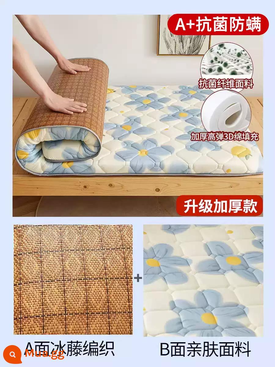 Nệm cao su đệm ký túc xá sinh viên giường đơn nệm chiếu tatami xốp cho thuê thảm đặc biệt đệm ngủ - Nệm hướng dương = 4,5cm (loại A+kháng khuẩn và chống mạt 3D) có thể sử dụng được cả hai mặt