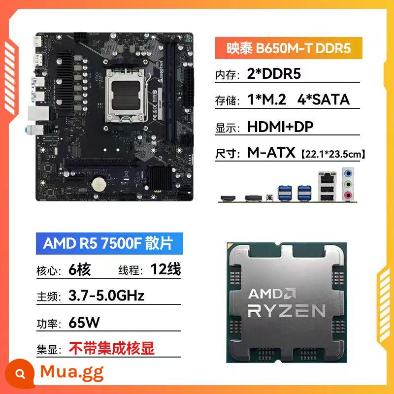 Biostar B650MT DDR5 với bo mạch AMD Ryzen R5 7500F/7600 và chip rời B650MP-E Pro - [SF Miễn Phí Vận Chuyển] Biostar B650M T D5+R5 7500F màng rời