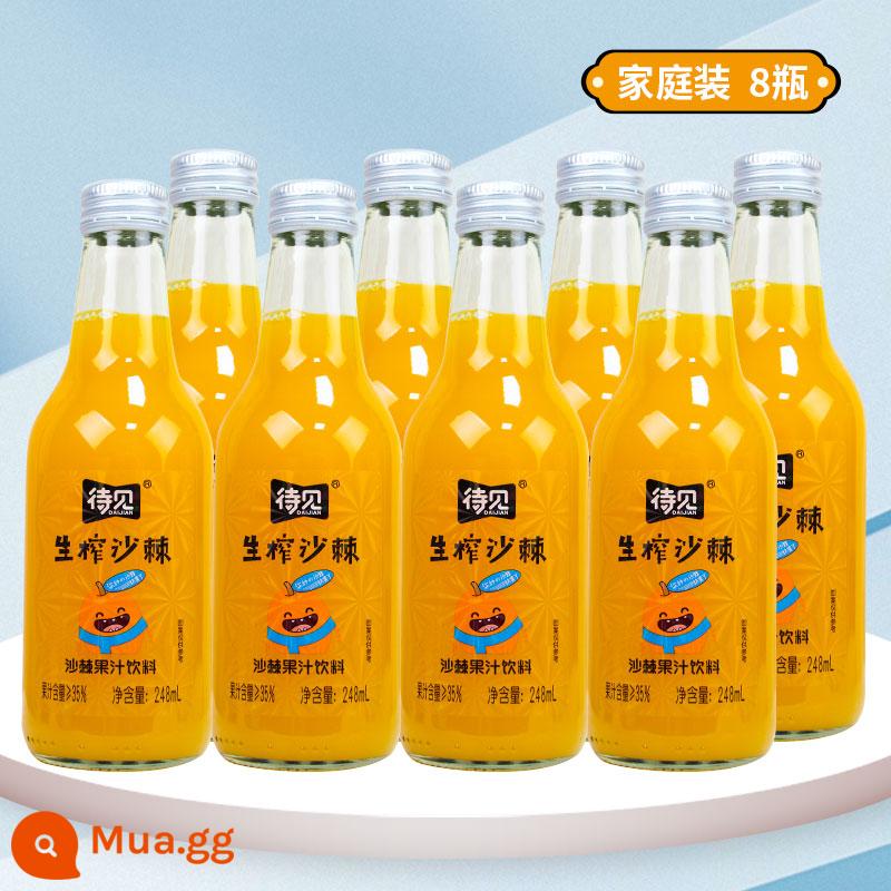 Chờ xem uống nước ép hắc mai biển 24 chai đầy đủ uống vitamin C đỏ ròng Shanxi Luliang nước ép nguyên chất ép hắc mai biển - Kích thước gia đình chai 248mlx8 [bọt hộ tống]