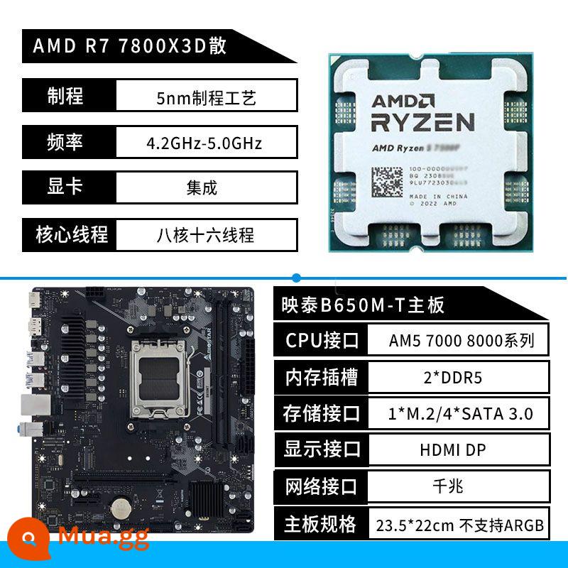 Biostar B650MP-E PRO bo mạch chủ A620 AM5 AMD Ryzen R5 7500F 7800X3D bo mạch U - Biostar B650M-T+R7 7800X3D rời