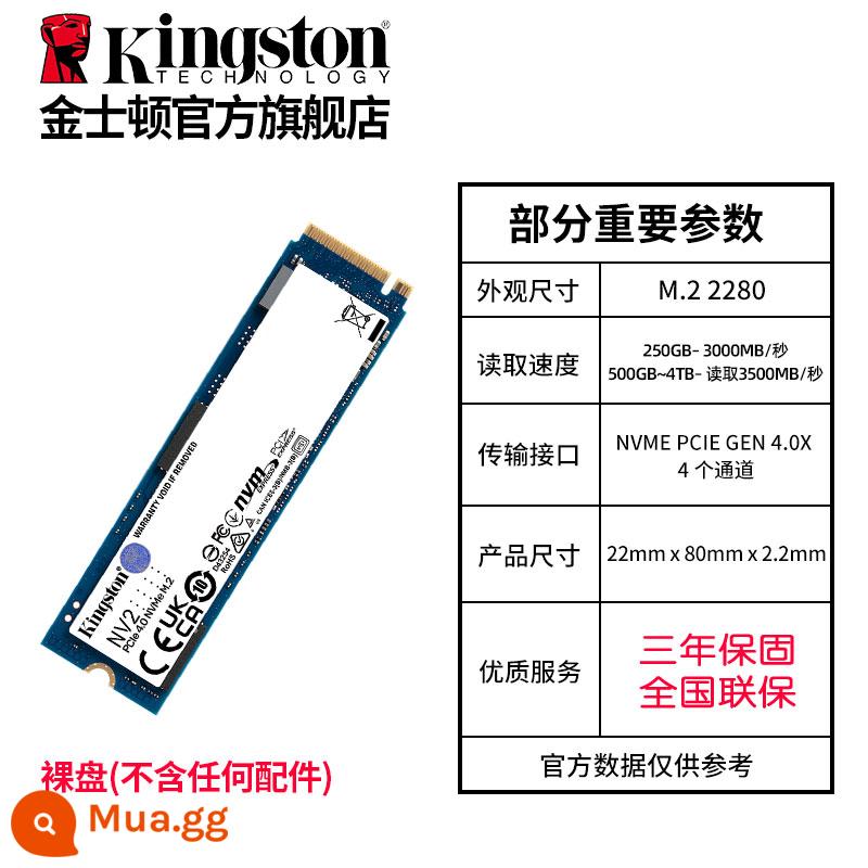 SSD KingstonNV2 500G/1T/2T kc3000 máy tính để bàn máy tính xách tay trò chơi ps5 ssd - Dòng NV2-M.2-NVME-SSD