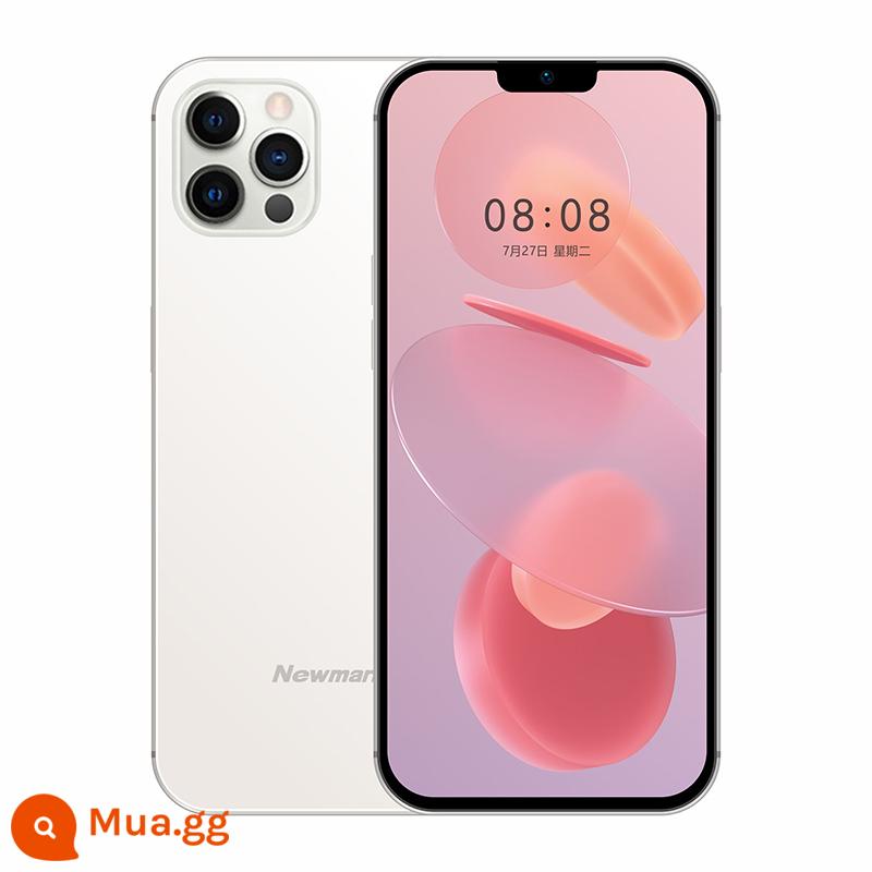 Newman P80Pro smart phone siêu mỏng dành cho người già máy toàn diện màn hình lớn dành cho sinh viên điện thoại di động dành cho người già 4g full Netcom game chờ siêu lâu ảnh - màu trắng bạc