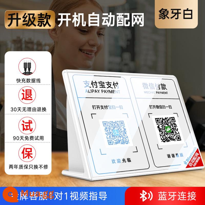 Nhận âm thanh, đài phát thanh, loa WeChat, nhắc mã QR, tài khoản Alipay, thanh toán Bluetooth - Phiên bản nâng cấp [Trắng Ngà] Phân phối mạng tự động Bluetooth ◆ 0 độ trễ phát sóng thứ hai