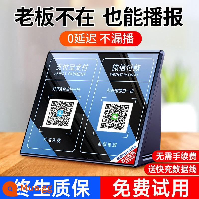 Nhận âm thanh, đài phát thanh, loa WeChat, nhắc mã QR, tài khoản Alipay, thanh toán Bluetooth - [Khuyến nghị của người quản lý cửa hàng] 0 độ trễ và không thiếu sót √ Phân phối mạng tự động √ Không mất phí xử lý