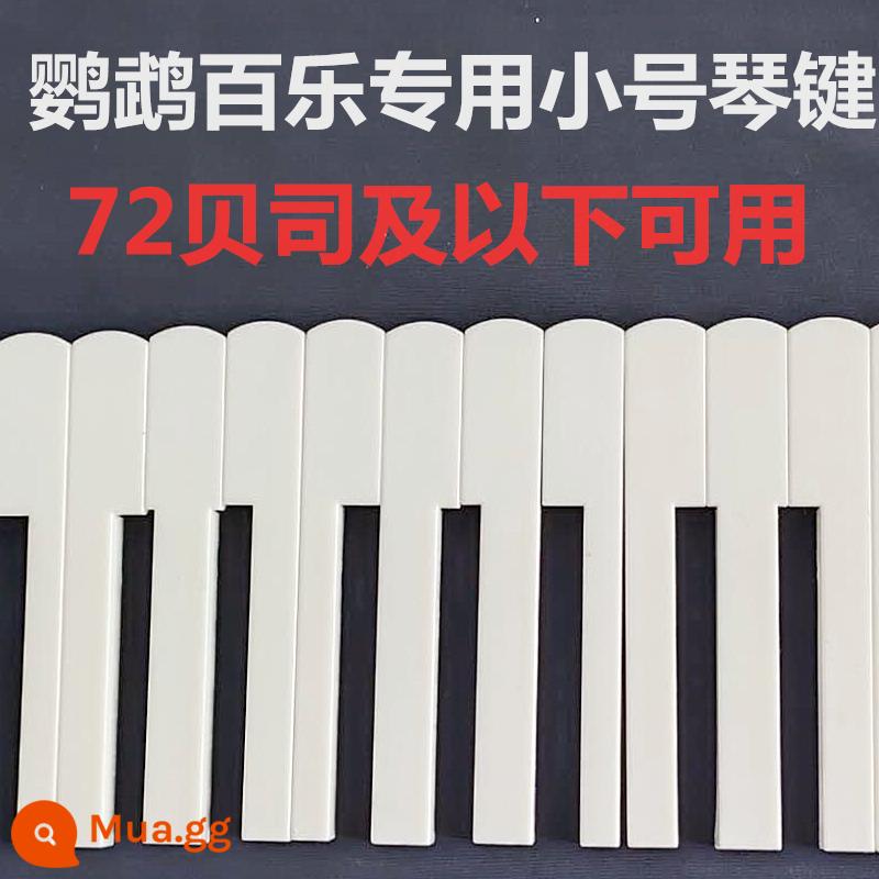 Phụ kiện bàn phím đàn accordion sửa chữa thay thế chuyên nghiệp 32 ~ 120 phím bass/phím đen/phím trắng - 20 phím trắng khe ngắn (cho 32-72 âm trầm)