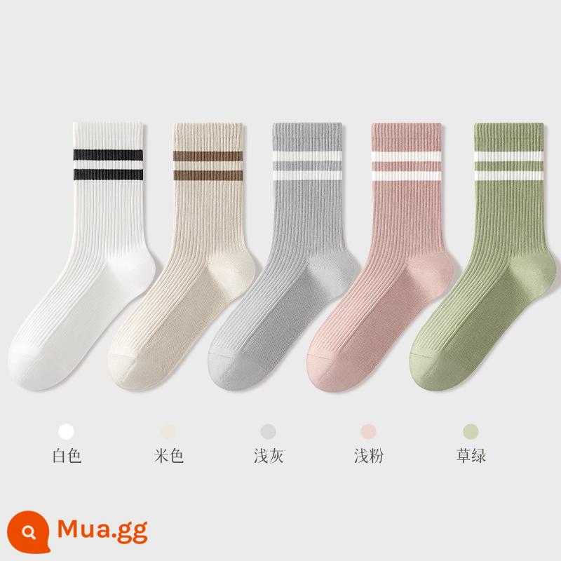 Tất Khử Mùi Chính Hãng 100% Xuân Thu Nữ Ống Ngắn Trung Mùa Hè Loại Mỏng Sợi Cotton Nguyên Chất Đen Trắng Nữ - Kết hợp ba (trắng + be + xám nhạt + hồng nhạt + xanh cỏ)