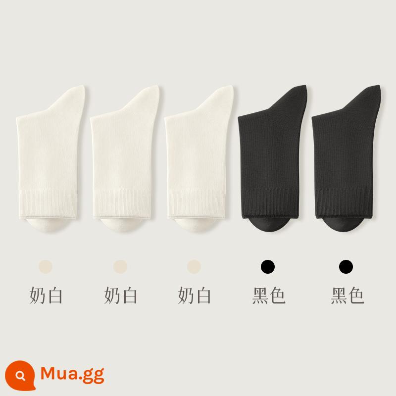 Tất nữ đến giữa bắp chân vớ cotton nguyên chất mùa thu đông 100% chính hãng không xương phong cách mùa đông nữ màu trắng vớ dày màu đỏ - Kết hợp hai mươi (3 trắng sữa + 2 đen)