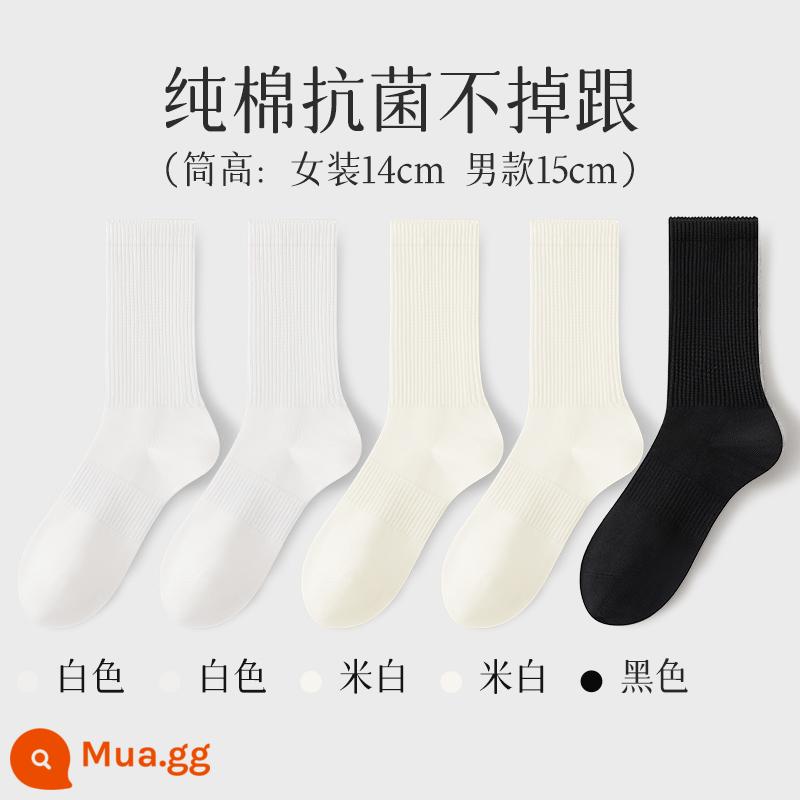 Tất nữ đến giữa bắp chân nữ mùa xuân thu 100% cotton chính hãng thể thao kháng khuẩn vớ thể thao nam màu trắng - Tất dài đến bắp chân (2 trắng + 2 trắng nhạt + đen)