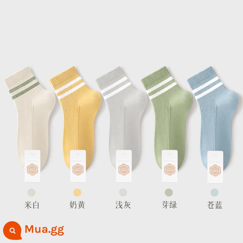 Tất Khử Mùi Chính Hãng 100% Xuân Thu Nữ Ống Ngắn Trung Mùa Hè Loại Mỏng Sợi Cotton Nguyên Chất Đen Trắng Nữ - Kết hợp mười hai (trắng nhạt + vàng kem + xám nhạt + xanh nụ + xanh nhạt)