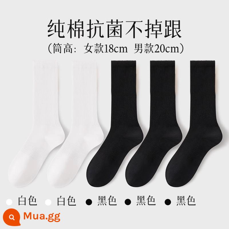 Tất nữ đến giữa bắp chân nữ mùa xuân thu 100% cotton chính hãng thể thao kháng khuẩn vớ thể thao nam màu trắng - Tất (2 trắng + 3 đen)