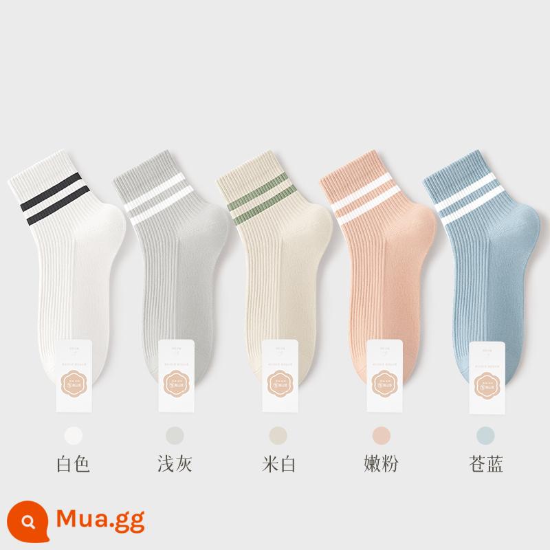 Tất Khử Mùi Chính Hãng 100% Xuân Thu Nữ Ống Ngắn Trung Mùa Hè Loại Mỏng Sợi Cotton Nguyên Chất Đen Trắng Nữ - Kết hợp sáu (trắng + xám nhạt + trắng nhạt + hồng dịu + xanh nhạt)