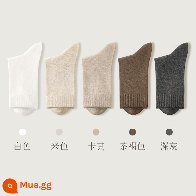 Tất nữ đến giữa bắp chân vớ cotton nguyên chất mùa thu đông 100% chính hãng không xương phong cách mùa đông nữ màu trắng vớ dày màu đỏ - Kết hợp bốn (trắng + be + kaki + nâu + xám đậm)