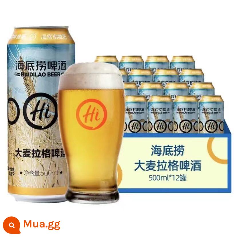 Bia Haidilao Lúa Mì Đức 500Ml * 9/12 Lon Nhà Hàng Lẩu Cùng Phong Cách Lúa Mạch Lager Nghiền Bia Thủ Công - Lager lúa mạch 500ml*12 lon